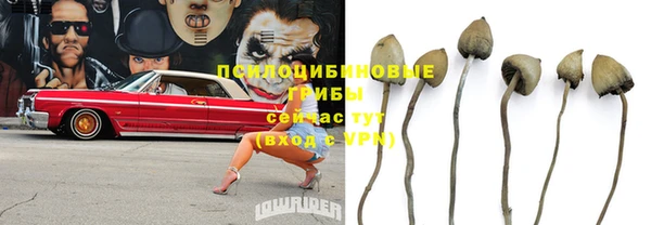 мдпв Березники