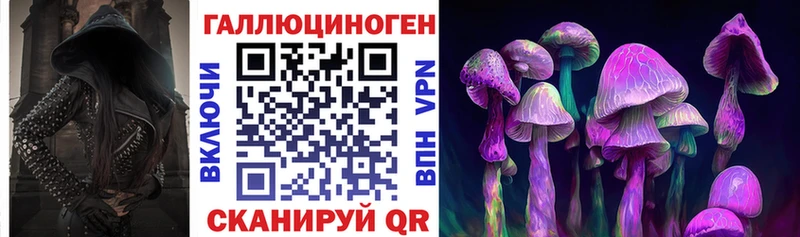 Купить где  Мезень  Галлюциногенные грибы мицелий 